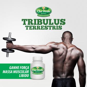 Tribulus Terrestris EXT SECO 40% - Código 60